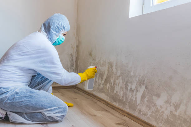 Crawl Space Mold Remediation treatment of floor joists in Moshannon