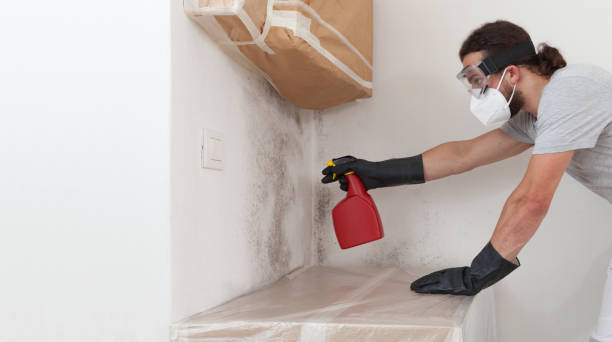 Attic Mold Remediation treatment on roof deck in Moshannon