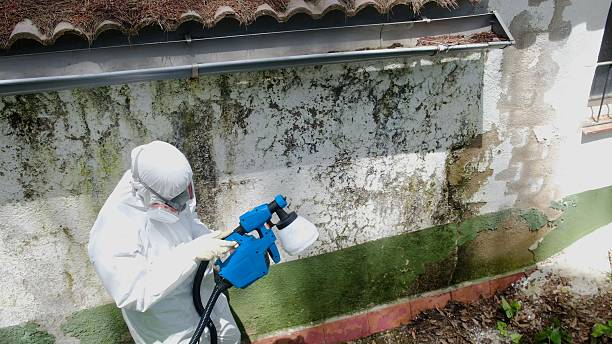 Mold Removal service in Moshannon
